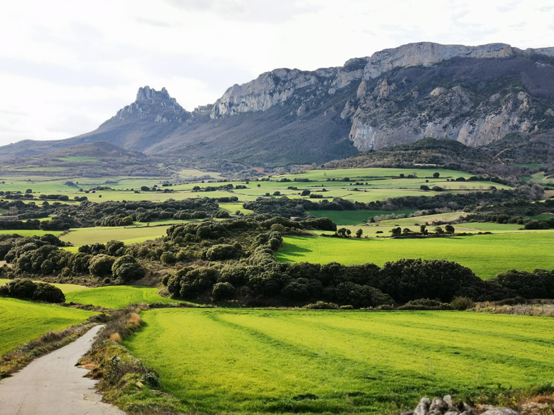 Camino Ignaciano, tramo Kripan - Elvillar. Rioja Alavesa
