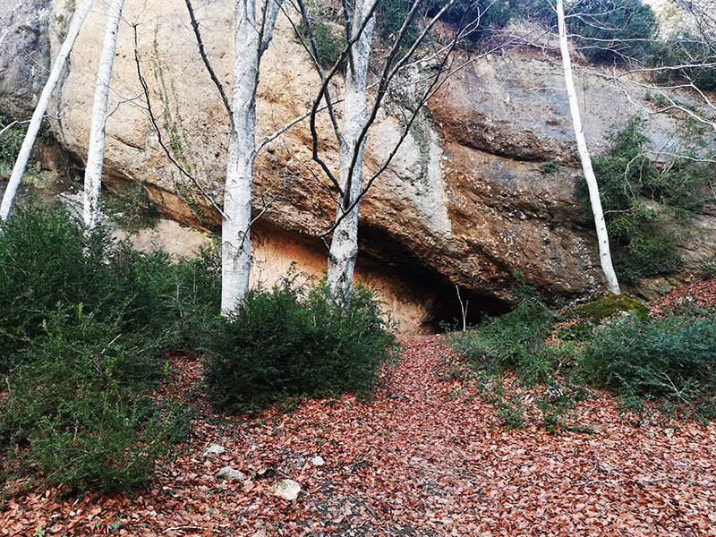 Cueva Peña Larga, Kripan